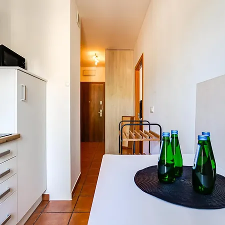 Apartment Wilda Living Stylowe 50m2 Z Balkonem 10 Min Do Pkp Poznan